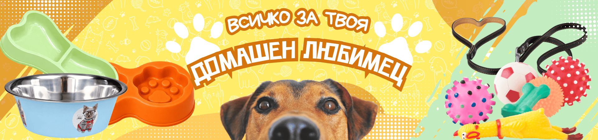 Домашен любимец